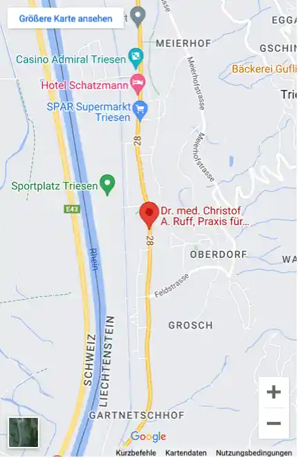 Google Maps - Map ID c022d499cc