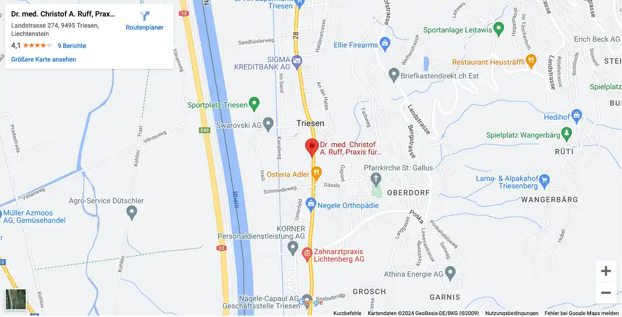 Google Maps - Map ID da072b2513